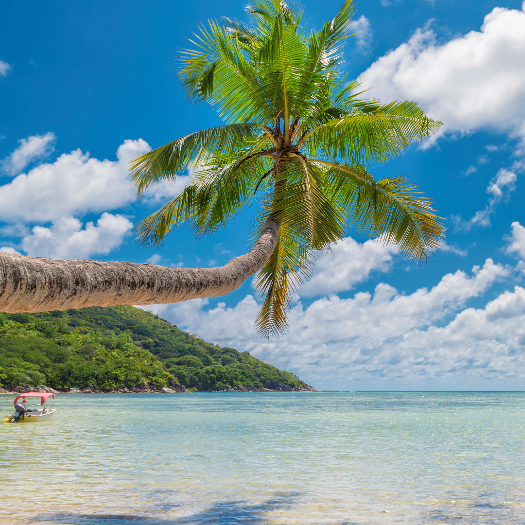 The Lucknowgrapher Studio